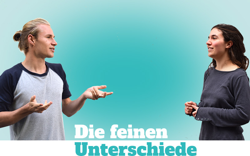 Die feinen Unterschiede